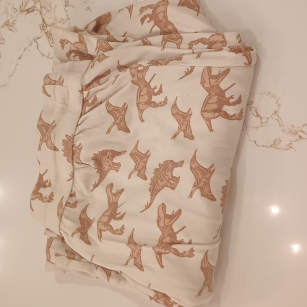 Kate Quinn Organic Cotton Dinosaur Men's Pajama Pants